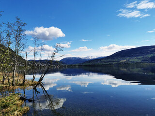 美国确诊病例超过138万,美国确诊超2859万