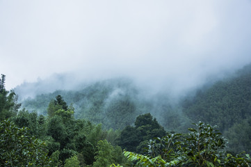 美国确诊病例超过138万,美国确诊超2859万